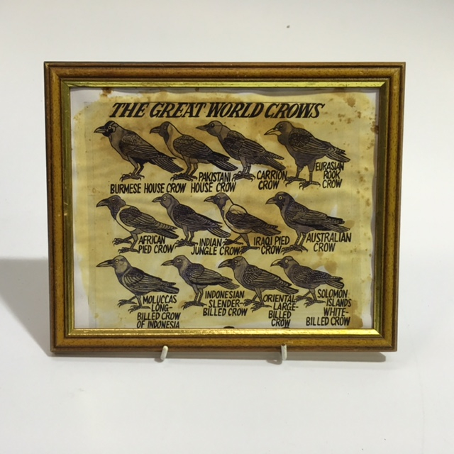 ARTWORK, Print (Small) - The Great World Crows